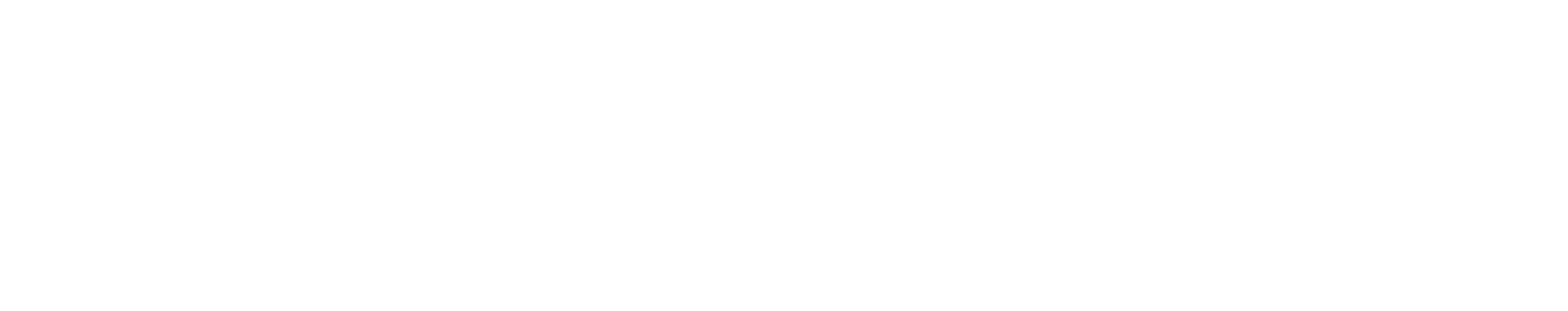 Dipl.-Ing. G. Knörzer